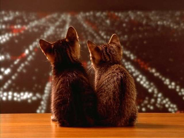 Enviar por correo electrónico ...